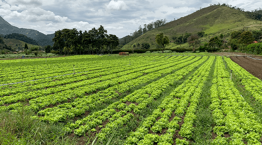 Mais de 30% do território brasileiro apresenta elevado potencial natural dos solos
