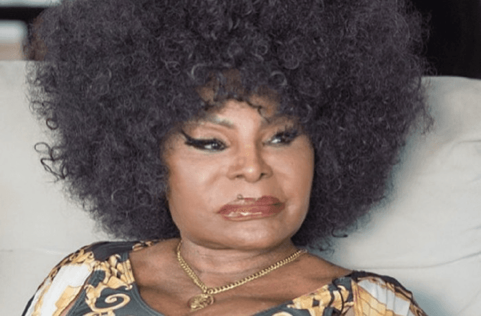 Sambista, cantora, compositora, negra, mulher. Elza deixa um legado de luta e resistência