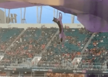 Gato fica pendurado durante jogo de futebol americano