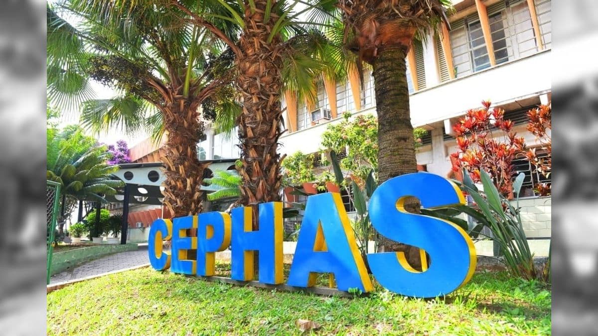 Cephas oferece 2 mil vagas em cursos EAD gratuitos, inscrições até 27/08