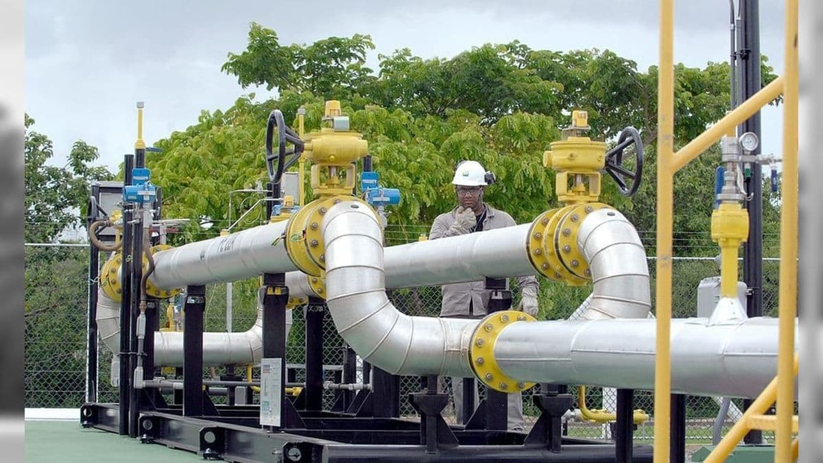 Entenda a nova fórmula que evitará altas bruscas de preço do gás