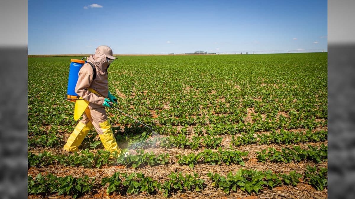 Relatório de análise mostrou menos toxicidade em alimentos