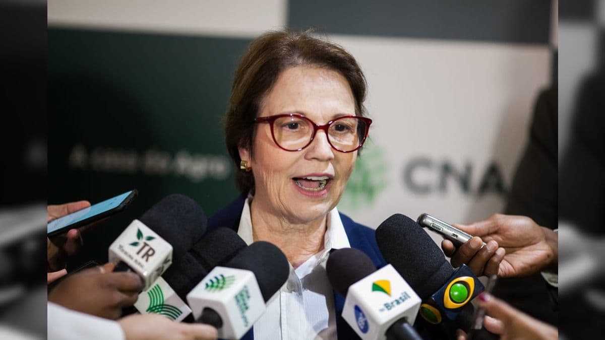 Senadora Tereza Cristina, ex-ministra da agricultura: "Sem fake news"