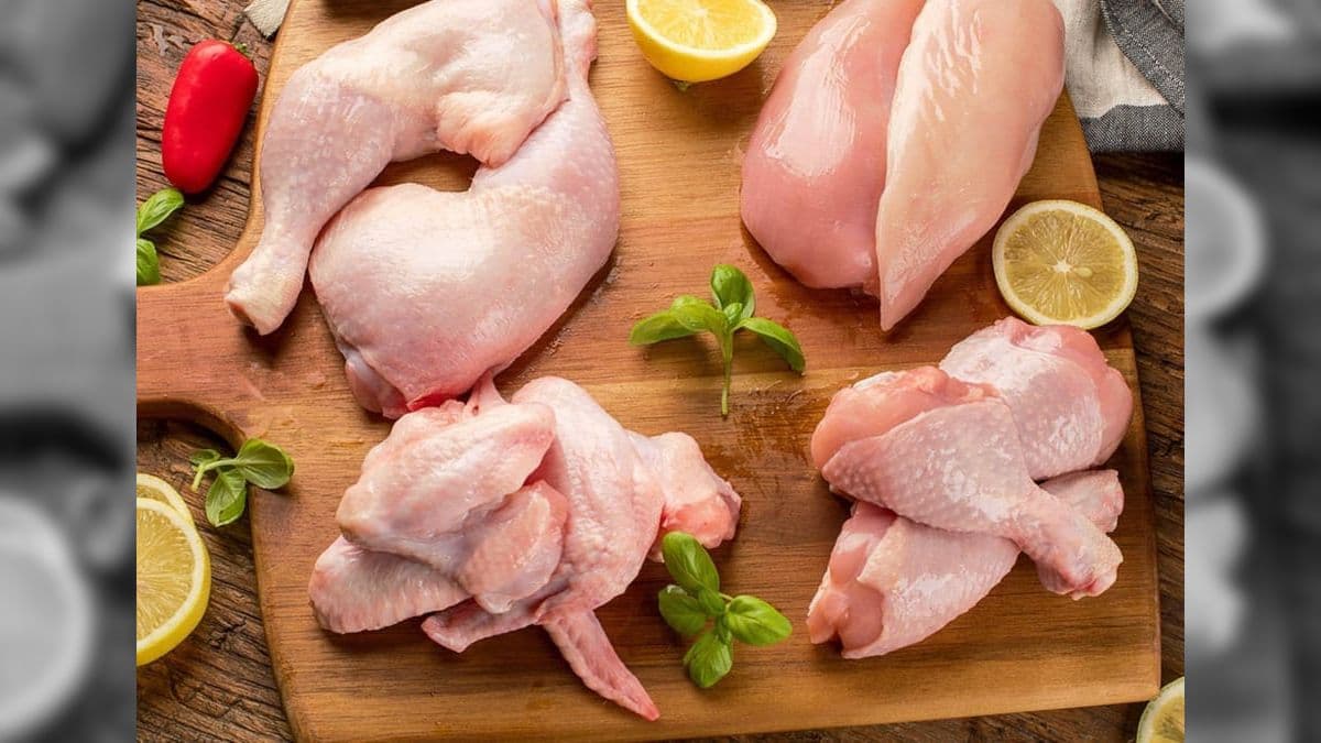 Consumo de carne de frango ou ovos não é arriscado para a população