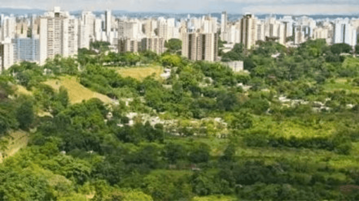 Em nova decisão, Justiça ordena que Prefeitura faça manutenção de lâmpadas públicas no Banhado