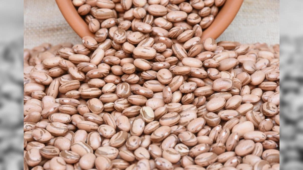 Produção maior de feijão fez o preço cair em todo o Brasil