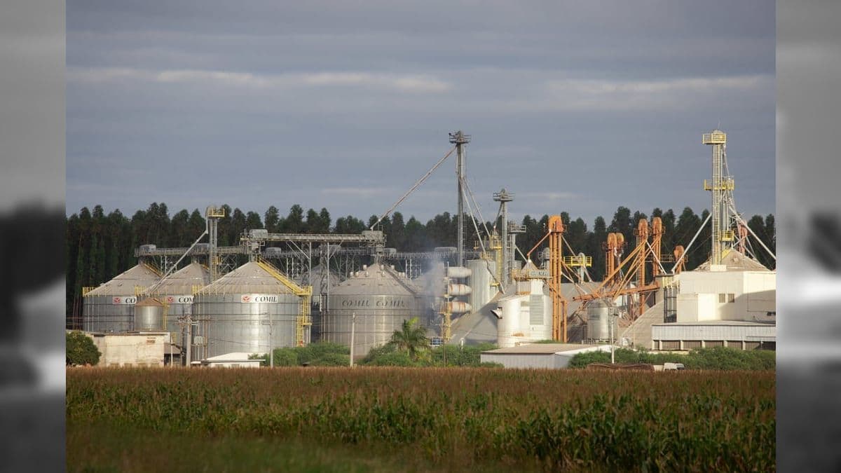 Capacidade de estocagem de grãos no Brasil cresce, mas ainda é insuficiente