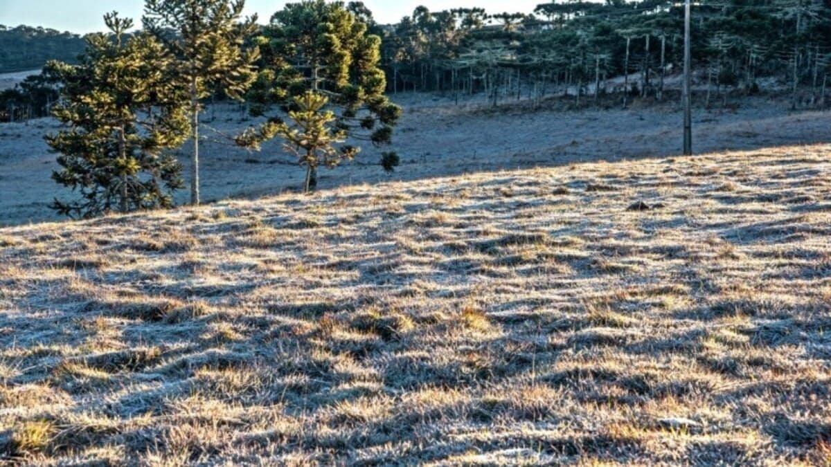 Rio Grande do Sul enfrentará forte onda da frio neste fim de semana