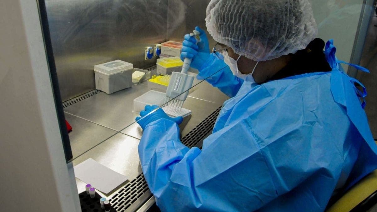 O mapeamento genético é feito com uma amostra de sangue ou saliva