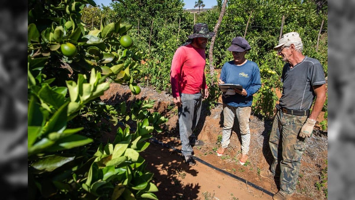 Agricultura familiar terá R$ 85,2 bilhões para financiar a próxima safra