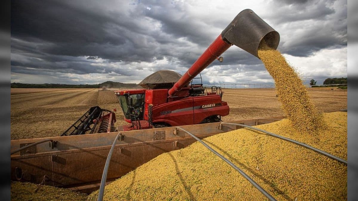 Soja, carnes de frango e suína, celulose e algodão foram os produtos responsáveis