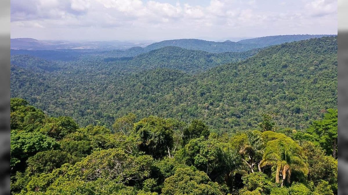 Amazônia