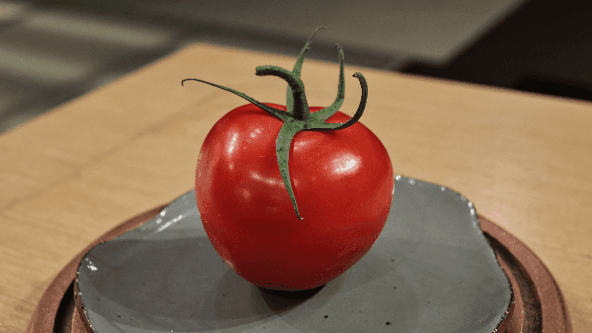 Clima ajuda a lavoura e tomates, além de mais baratos, estão mais coloridos
