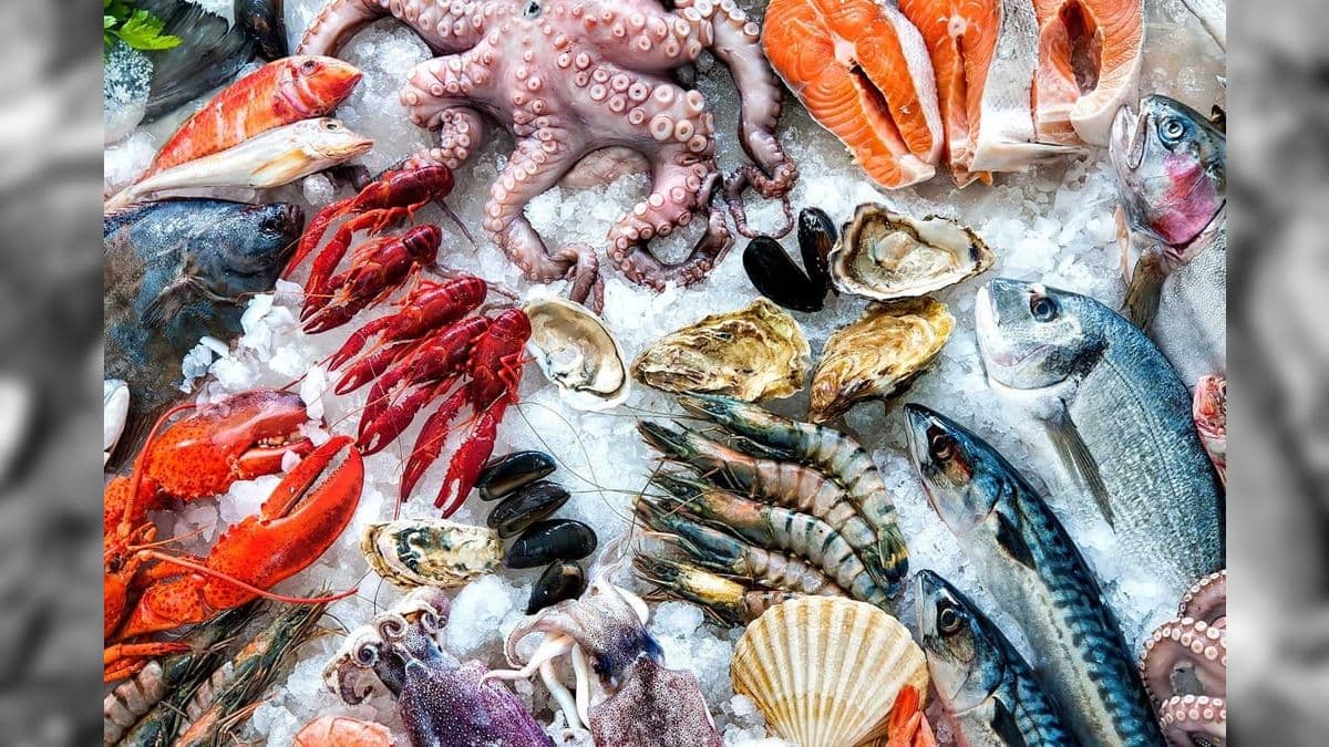 Associação pede que frutos do mar brasileiros sejam isentos