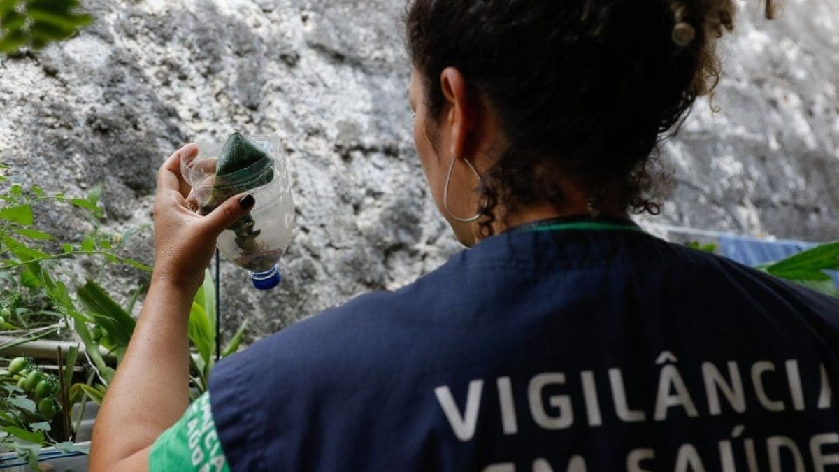 Jacareí registra redução na infestação do mosquito da dengue em 2026