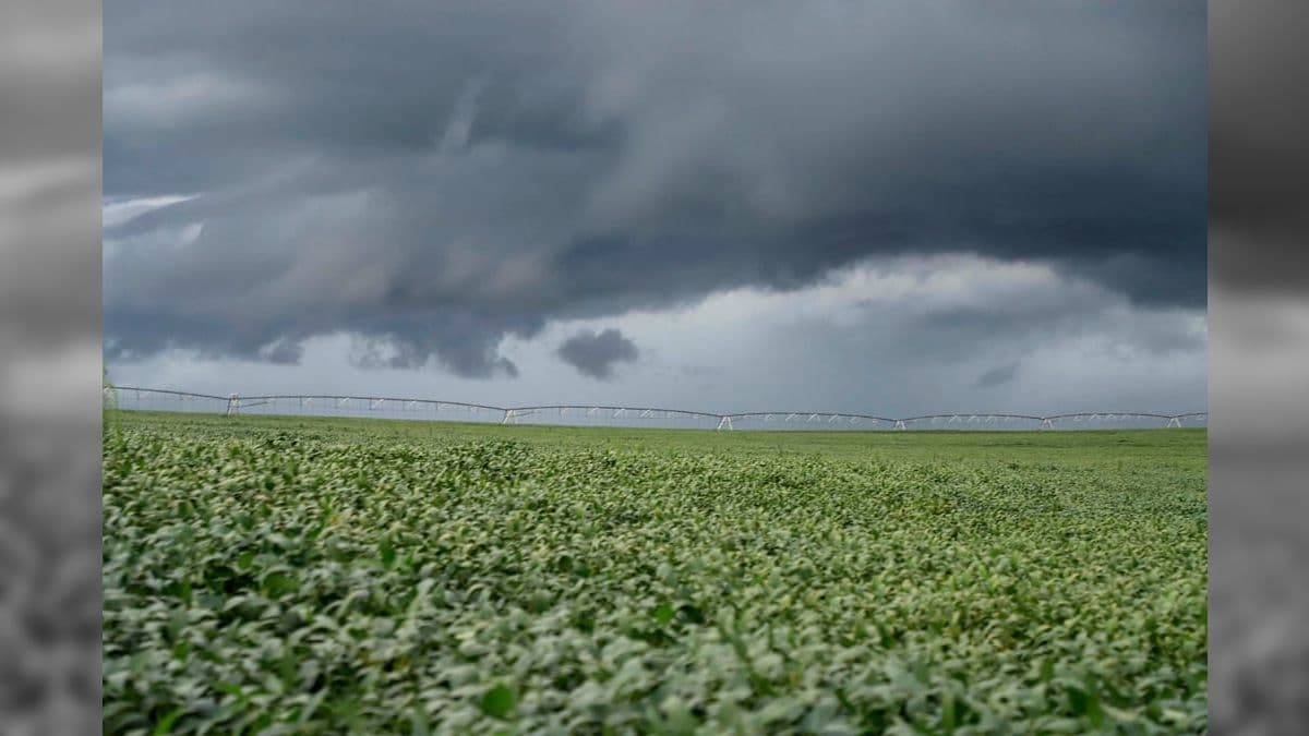 Meteorologistas confirmam que há 90% de chances do El Niño influenciar o clima ainda neste ano
