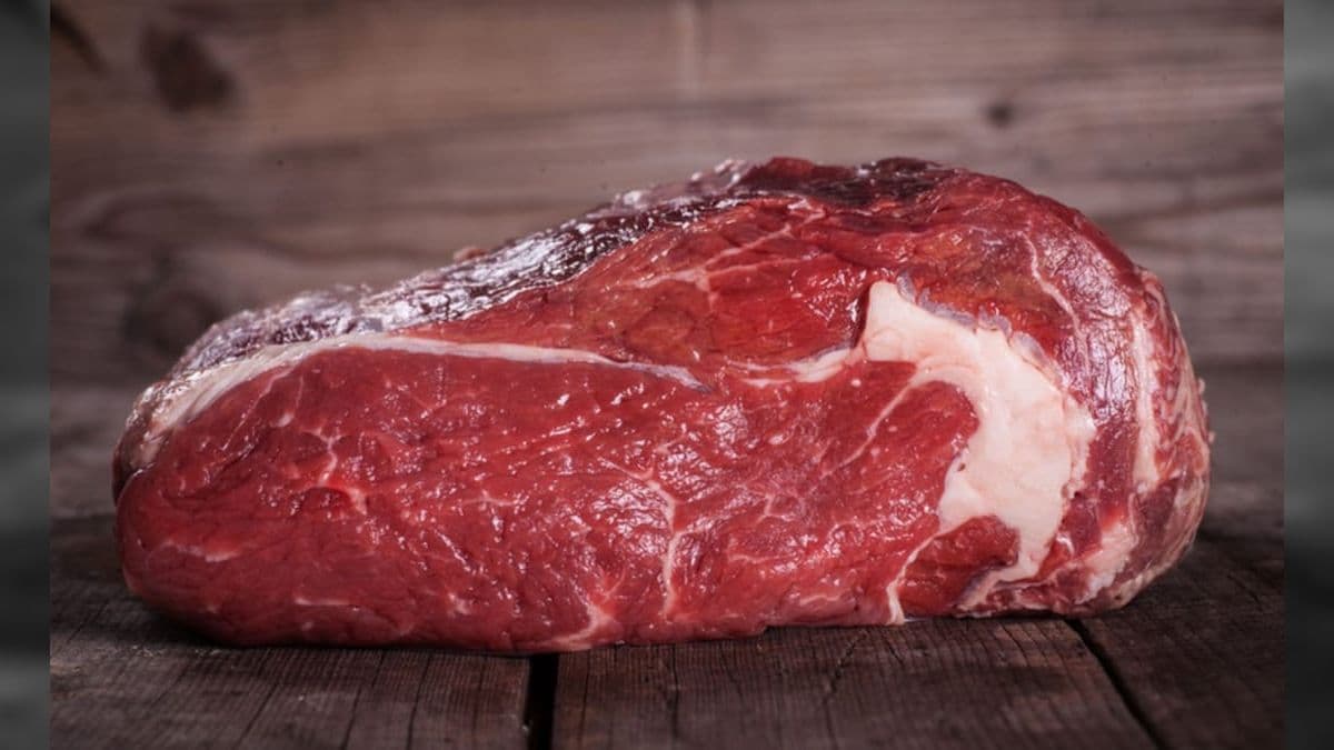 Carne bovina
