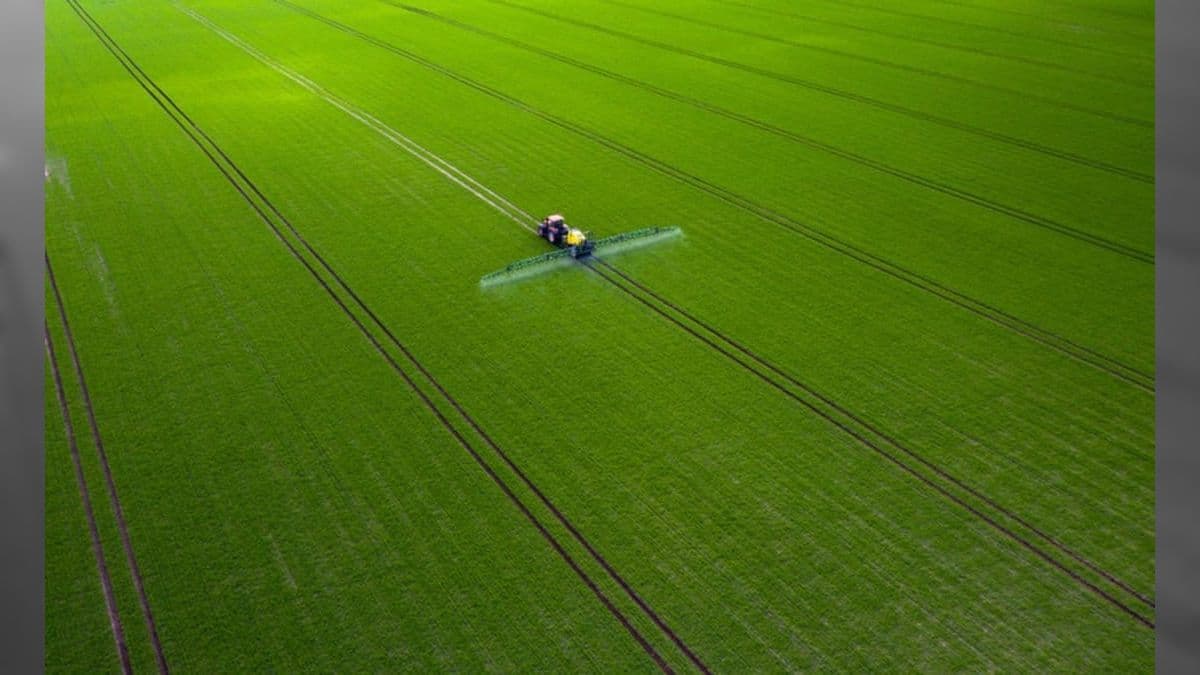 Hoje é o Dia Nacional do Campo