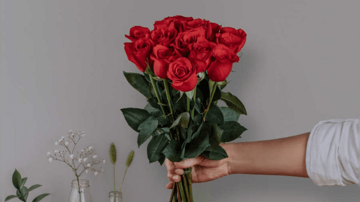 Rosas vermelhas são as campeãs de vendas nesta época do ano