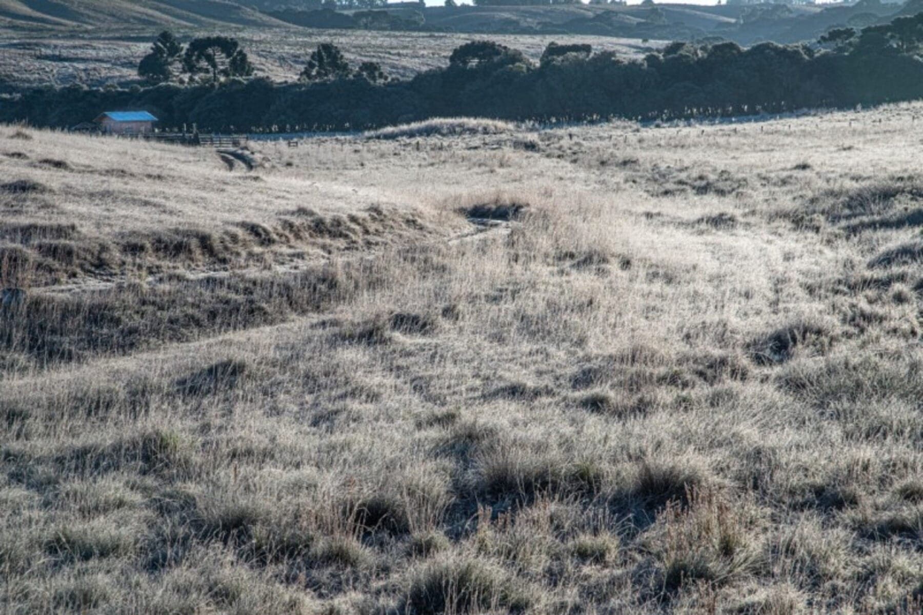 Onda de ar polar pode provocar neve no Rio Grande do Sul