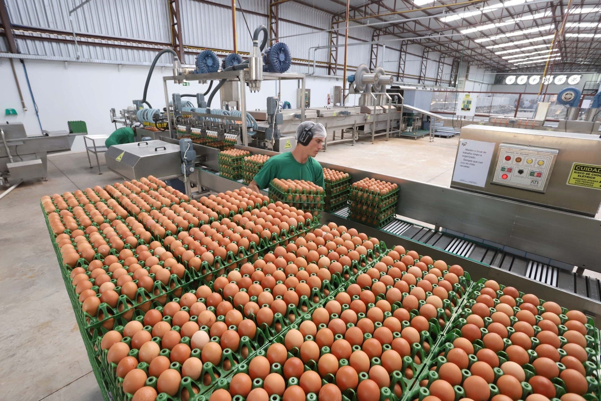 Granja em Montenegro comercializava ovos férteis