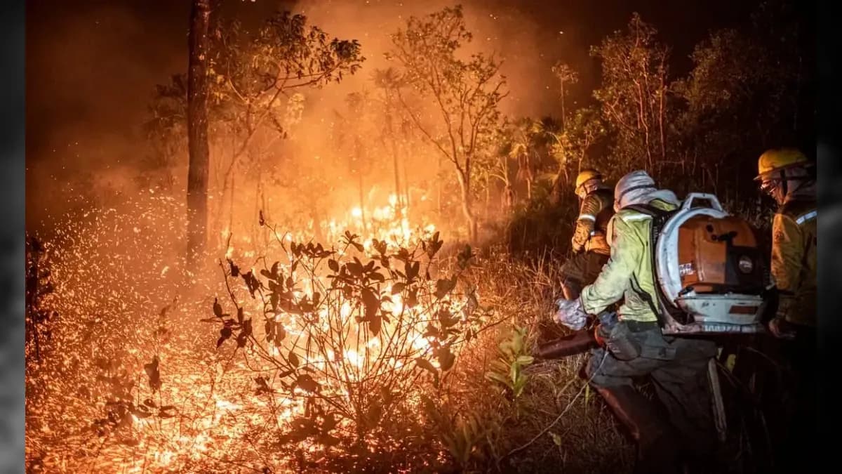 Amazônia e Pantanal registram piores queimadas dos últimos 17 anos no ano passado