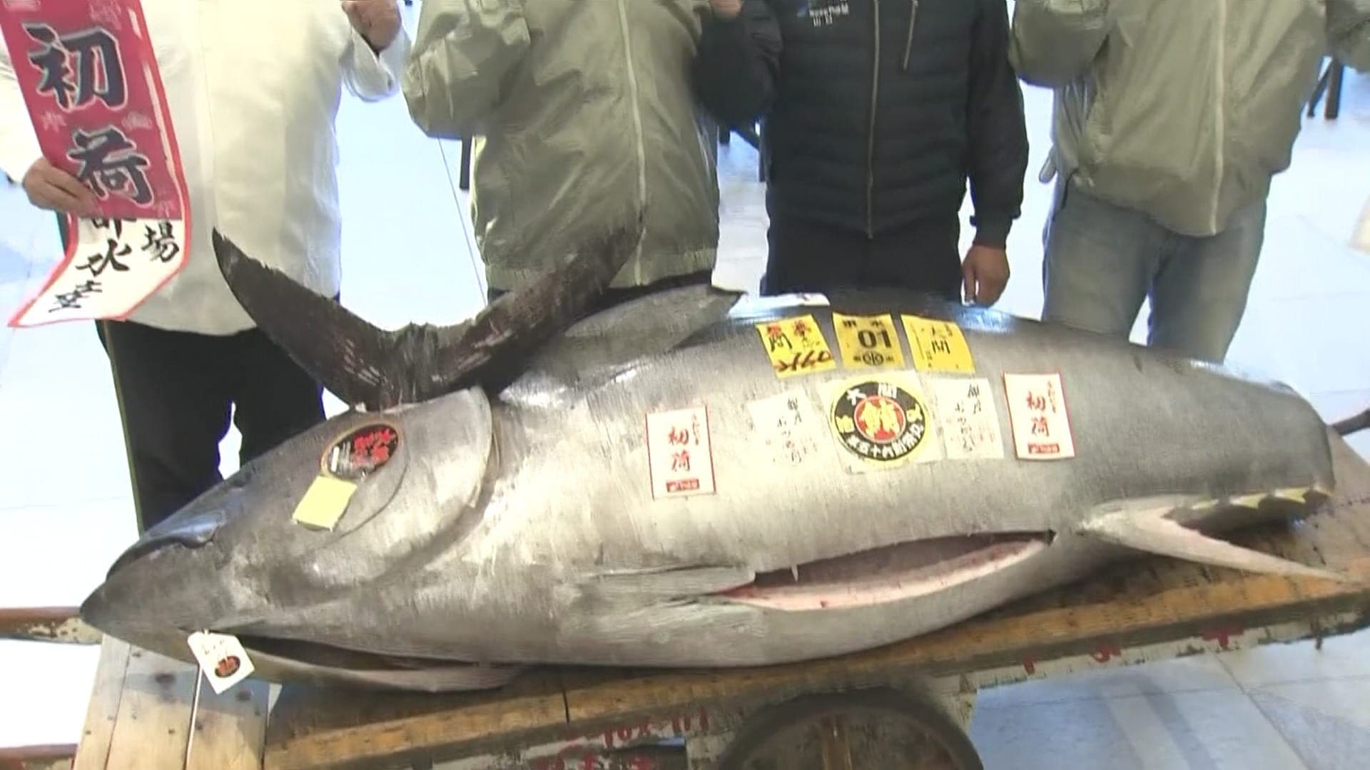 Atum de US$ 3 milhões foi comercializado no Japão