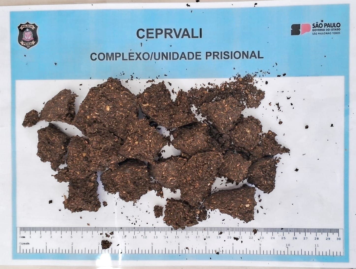 Mulher tenta entrar em presídio com drogas nas partes íntimas e é presa no Vale do Paraíba