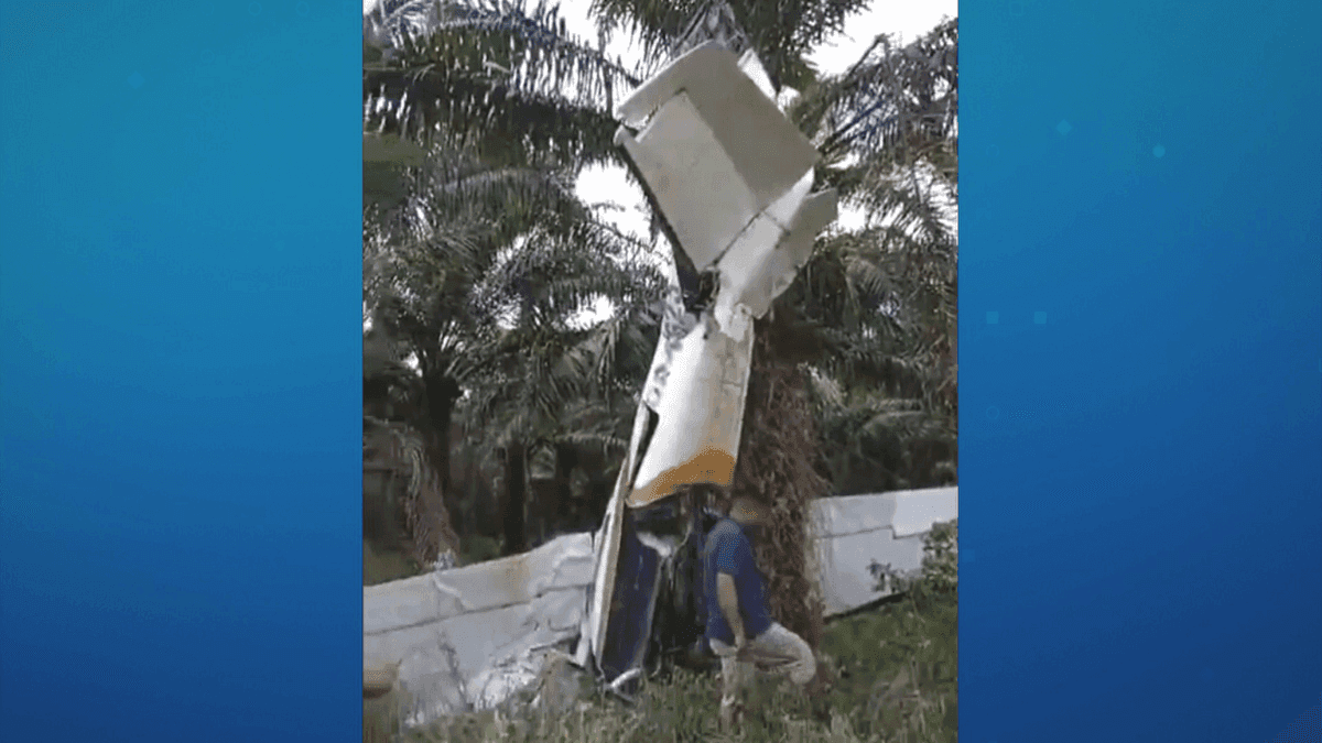 Avião do pó: aeronave carregada com 30kg de cocaína cai em área de mata no Pará