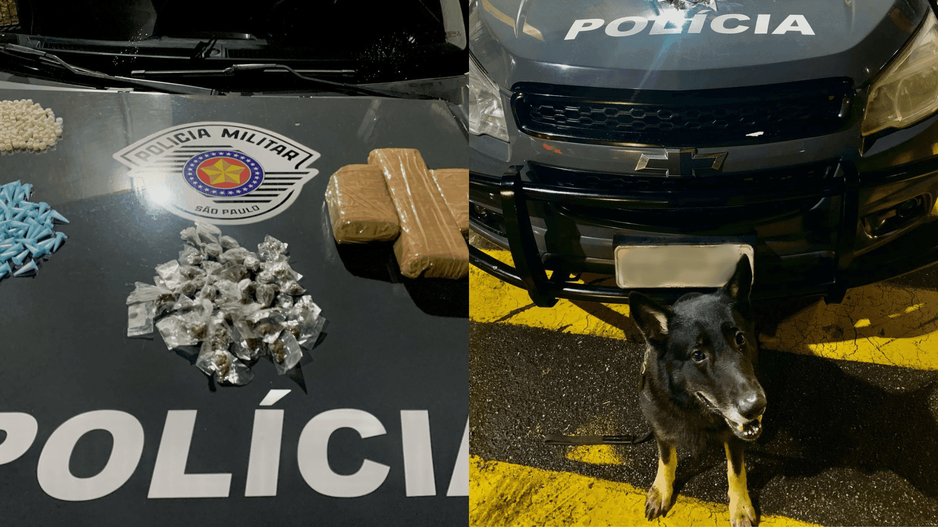 Polícia encontra drogas com apoio de cão farejador em Tremembé