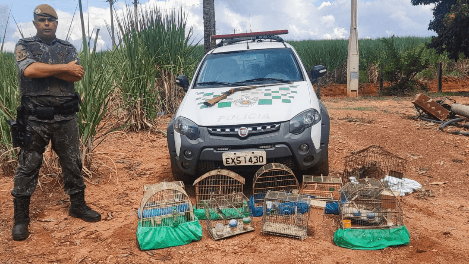 O sitiante foi multado e depois preso pelos crimes