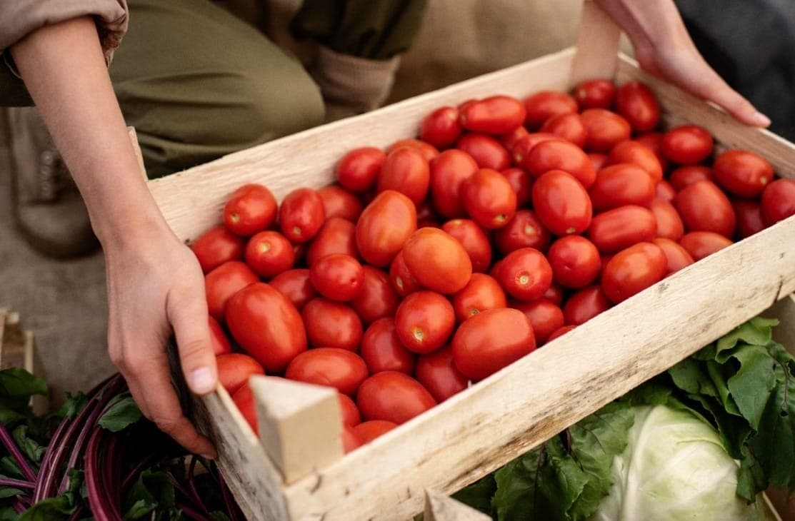 Fugini tem o molho de tomate mais vendido do Brasil no varejo