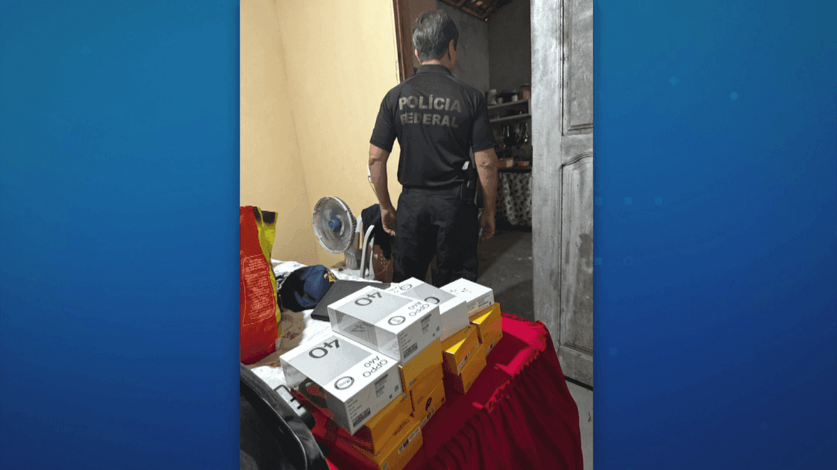 PF desarticula organização criminosa especializada em furtos de cargas dos Correios