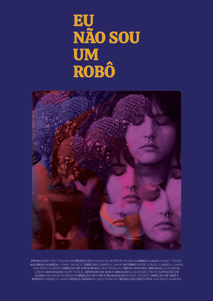 Cartaz de divulgação do filme brasileiro "Eu não Sou um Robô"
