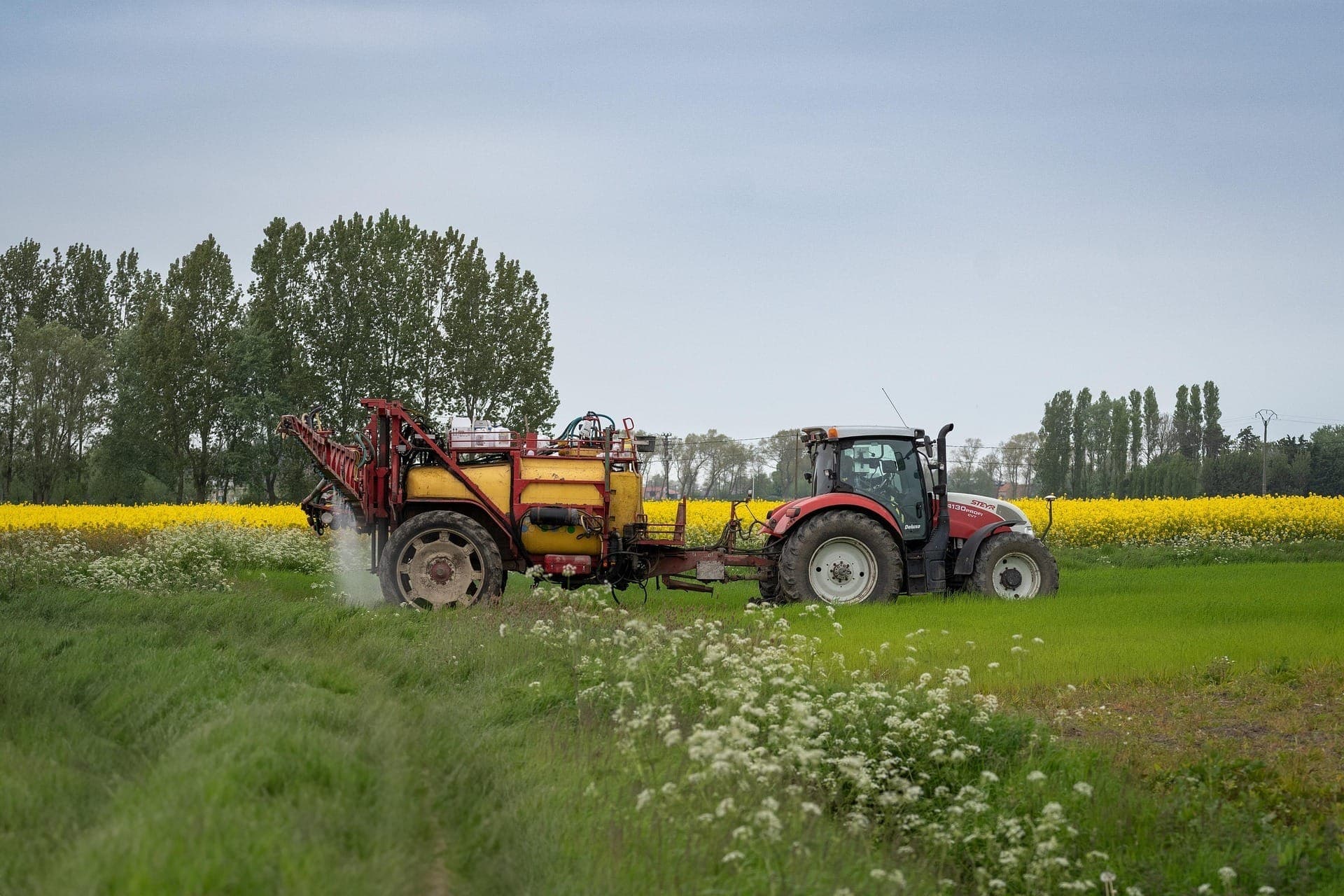 Os dados do Levantamento Sistemático da Produção Agrícola foram divulgados nesta quinta-feira (13) pelo IBGE