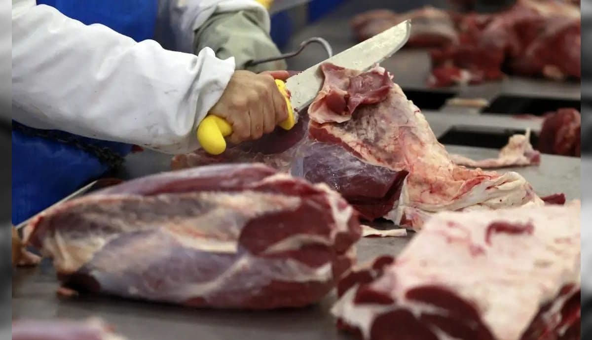 Começa a valer imposto zero para importação de 11 alimentos