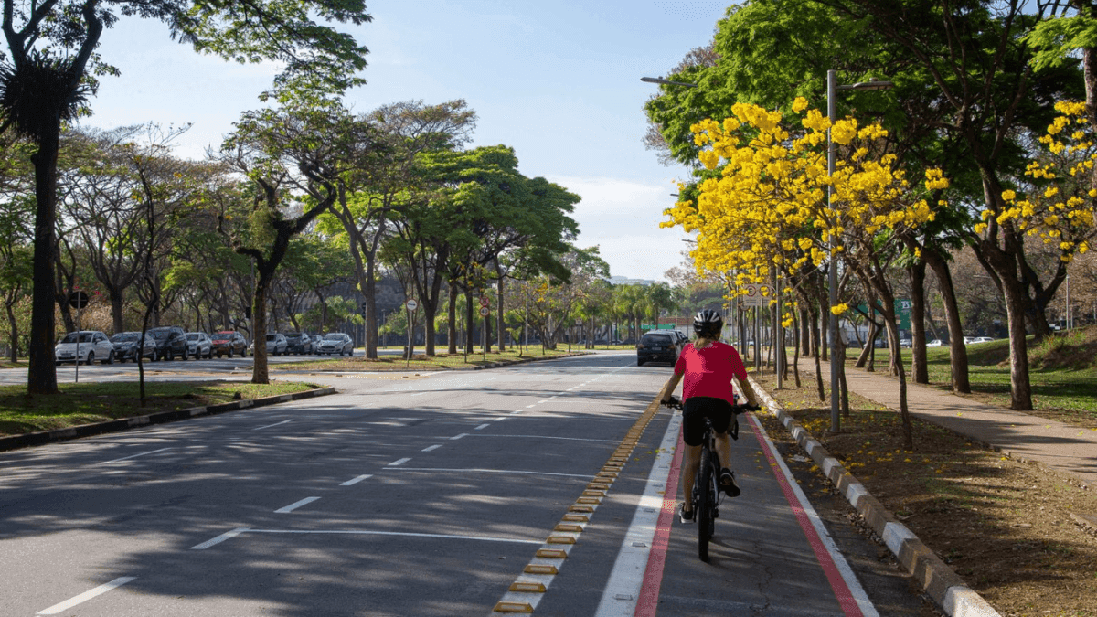 Ciclista na ciclovia da cidade universitária, em SP