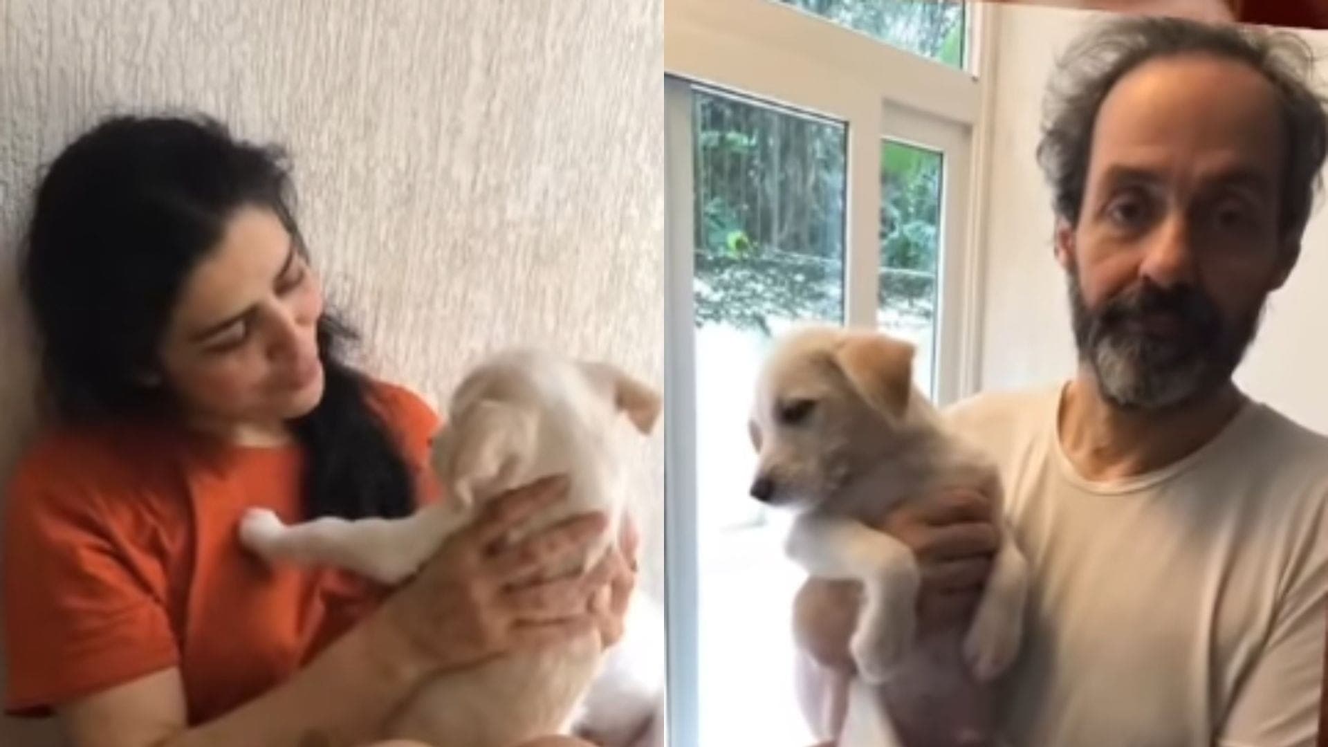 Letícia Sabatella e Daniel Dantas são tutores dos cachorros