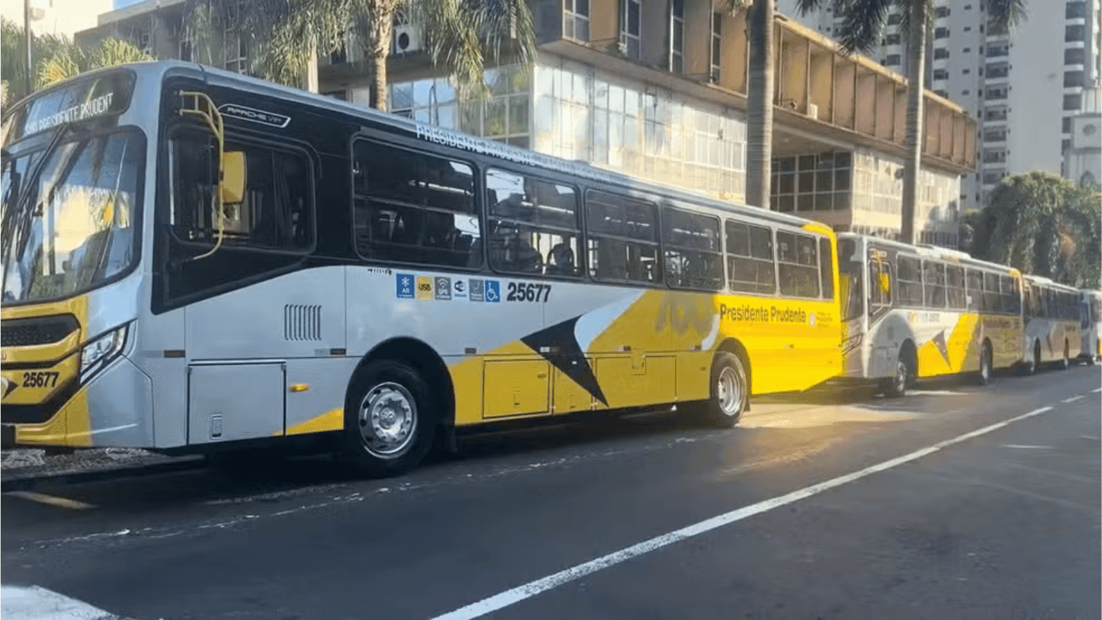 Os novos carros devem atender à demanda da população