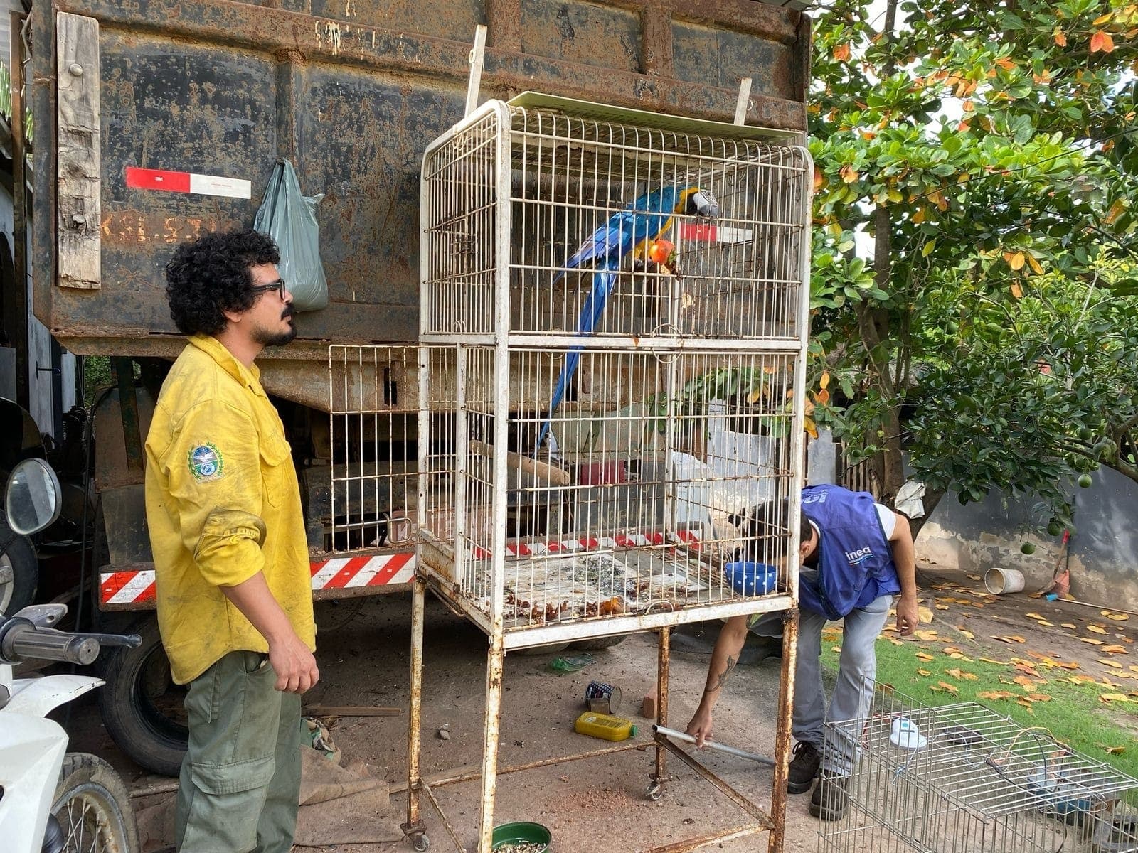 Alguns dos animais foram encontrados dentro da casa de um vendedor, enquanto outros na casa de um comprador
