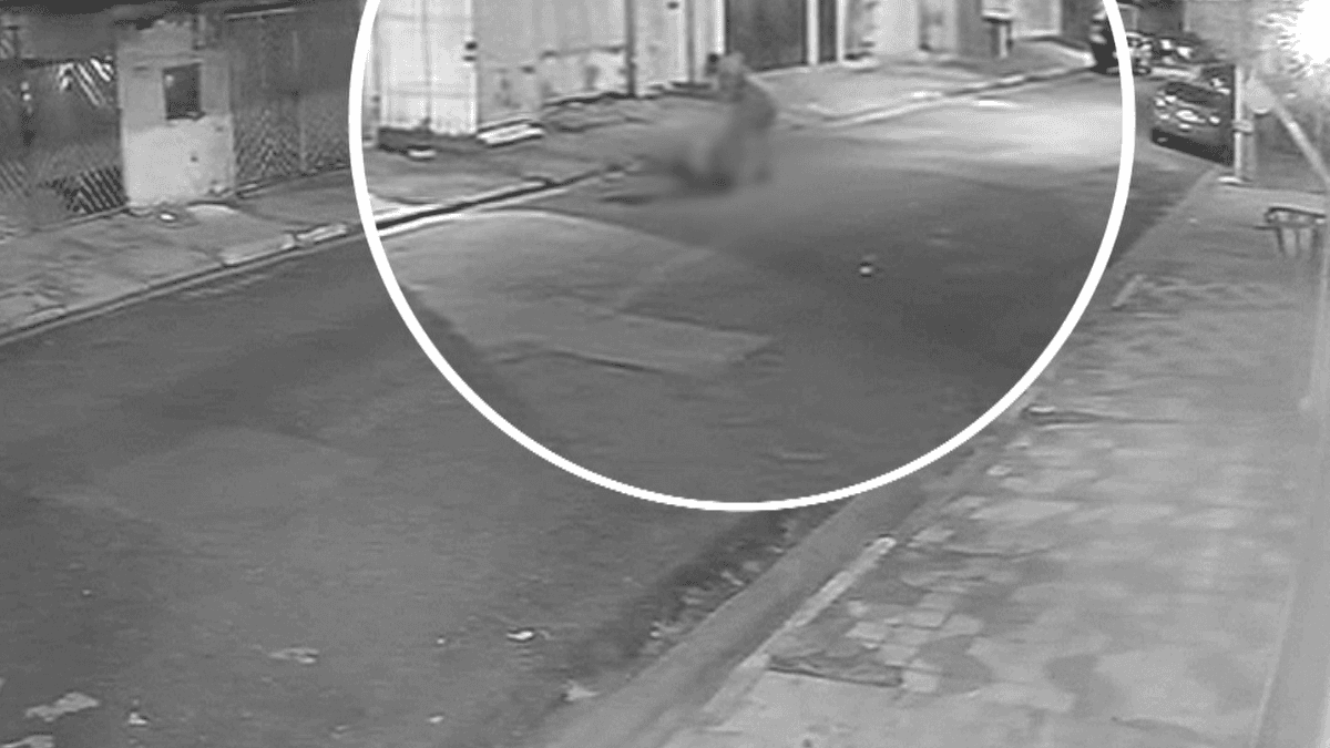 Dentista é espancada e baleada durante assalto em Suzano, na Grande SP