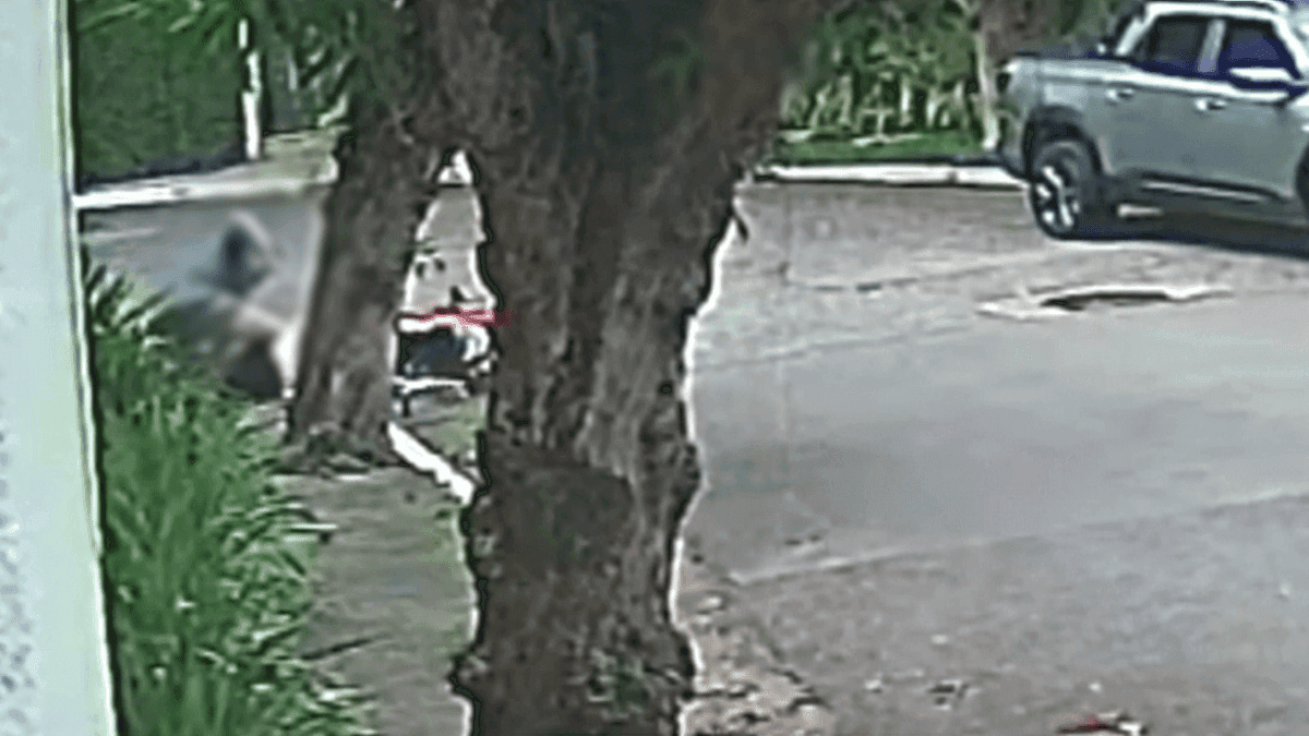 Homem reage a assalto e agride criminoso na zona sul de São Paulo