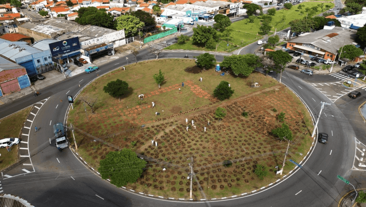 O plano é que a cidade tenha 200 microflorestas, principalmente em áreas com ilhas de calor