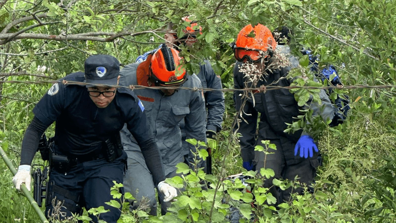 O corpo foi localizado em uma mata densa na região
