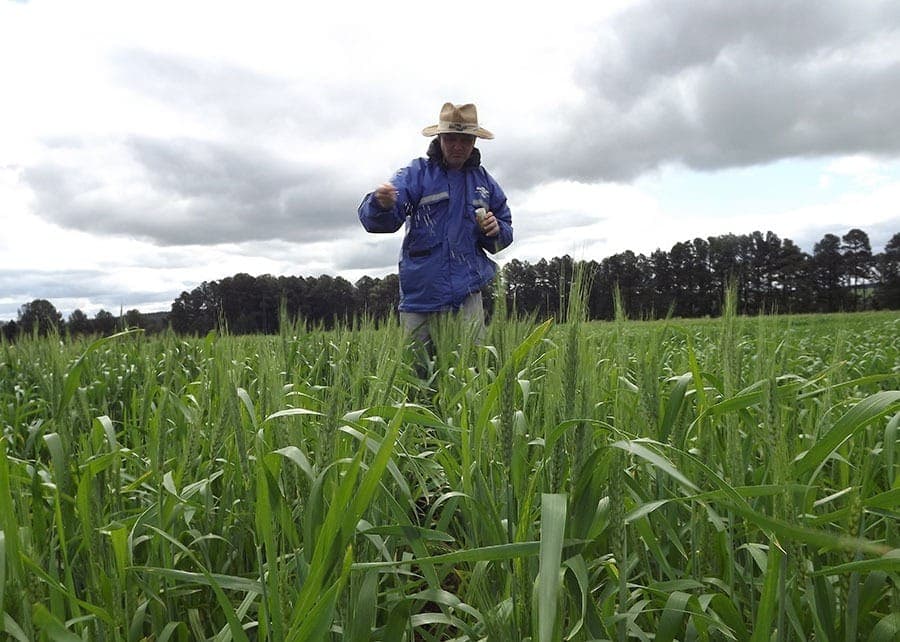 Fertilizantes são os maiores emissores de gases de efeito estufa