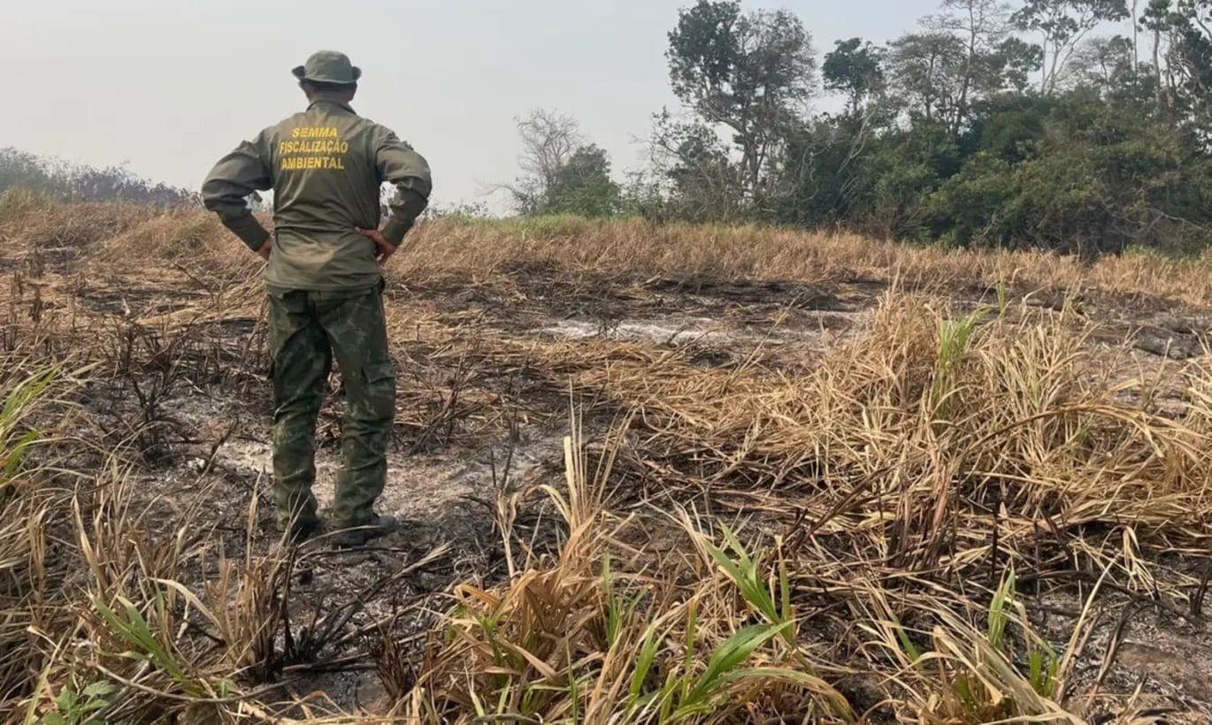 Roraima, Pará e Maranhão foram os estados que mais queimaram vegetação nativa