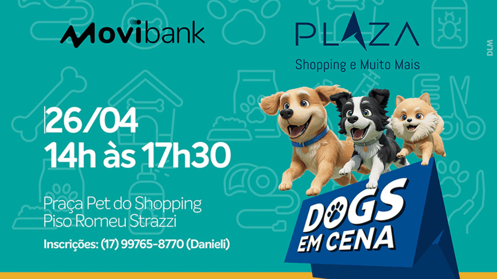 Será uma tarde repleta de diversão para cães e tutores