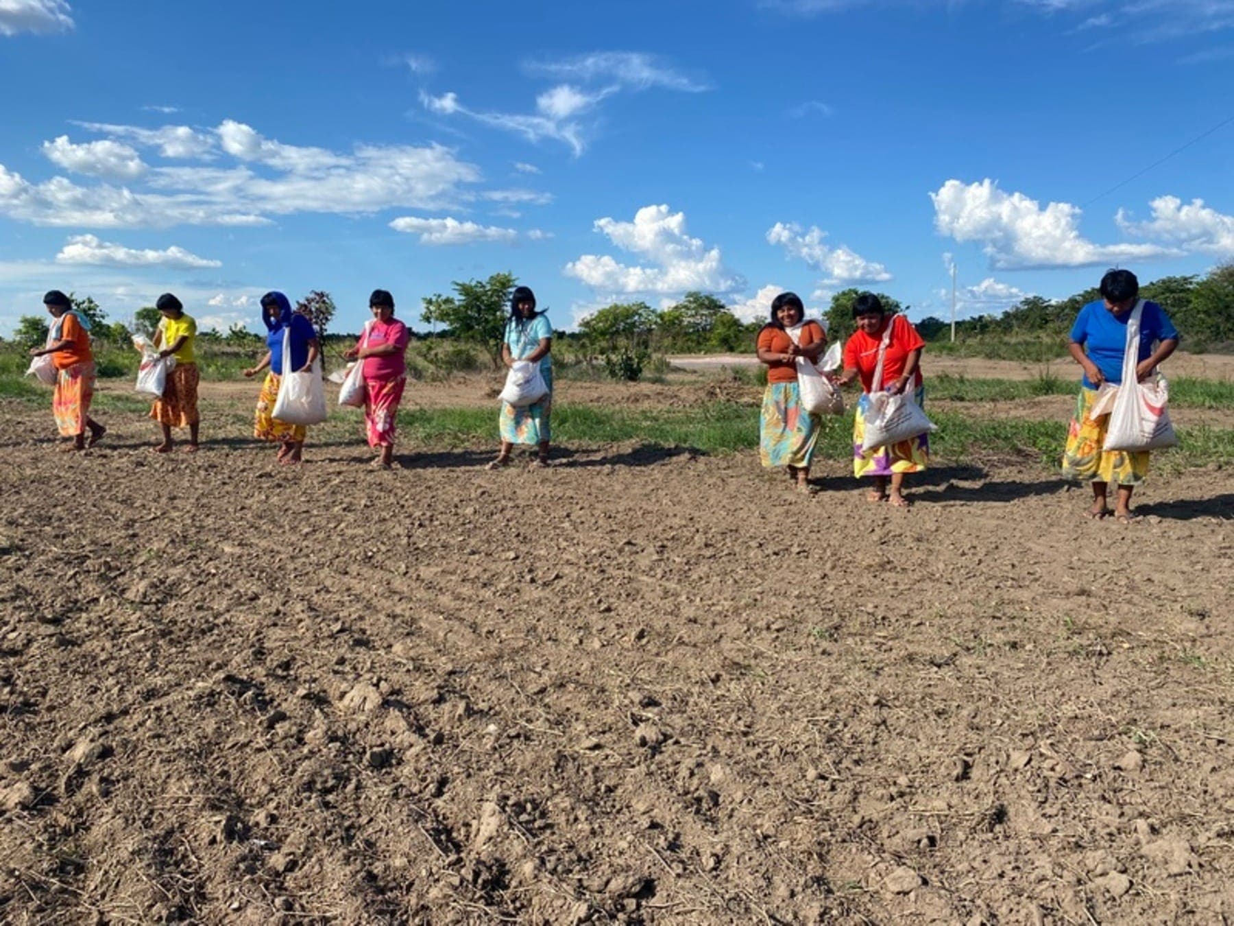 Mulheres implantam agrofloresta de 5 hectares em Canarana (MT)