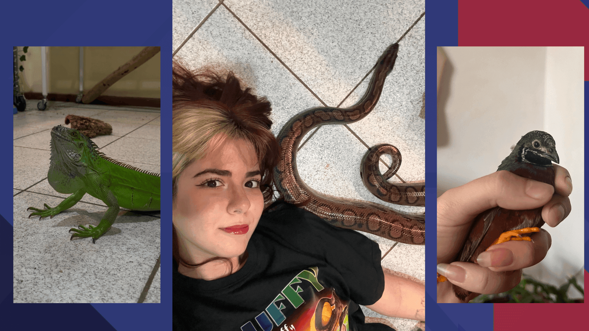 A bióloga acumula quase 300 mil seguidores no Instagram