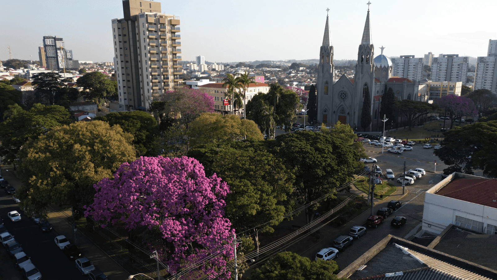 O estudo foi realizado pelo Centro de Liderança Pública